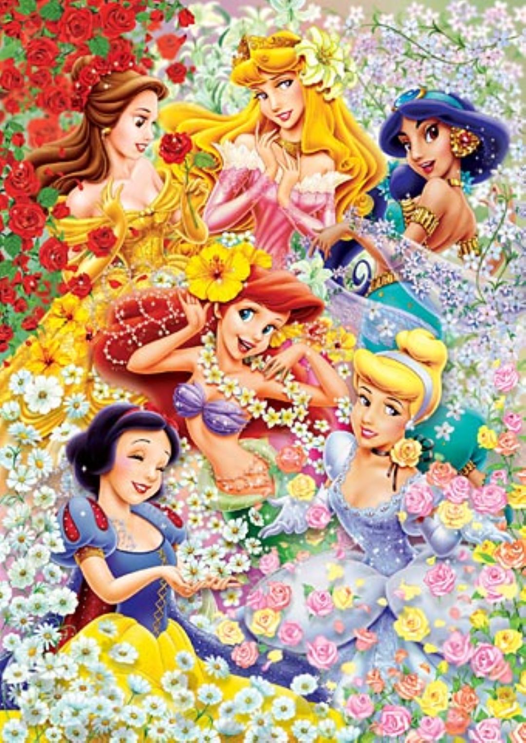 D-1000-234 Tenyo Disney Princess Collection