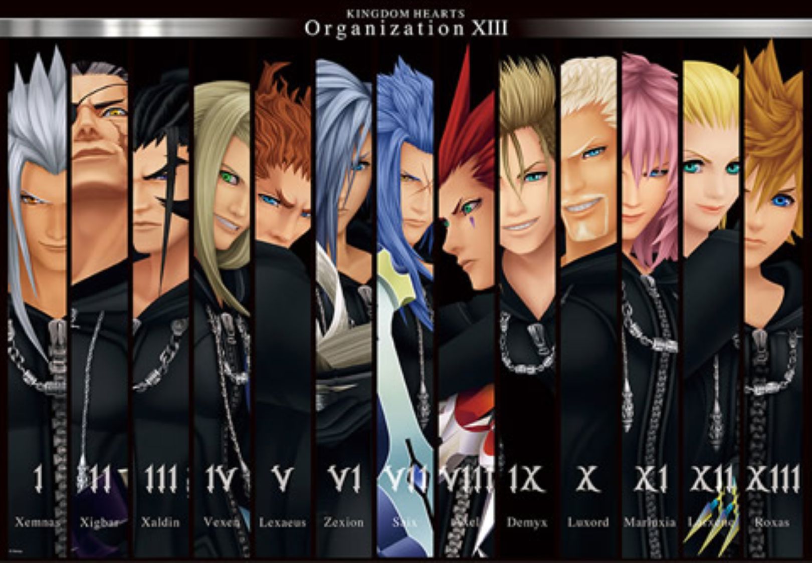 D-1000-484 Tenyo Disney Kingdom Hearts Organization XIII