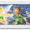 DG-456-703 Tenyo Disney Peter Pan and Tinker Bell