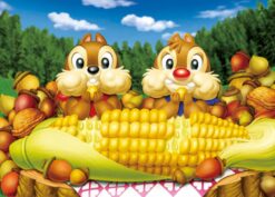 DSG-266-732 Tenyo Disney Chip n Dale